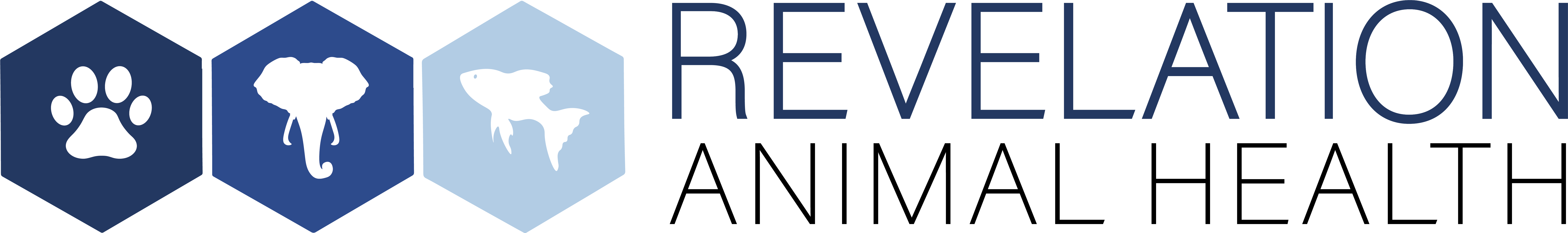 Taylors Pharmacy - DEV